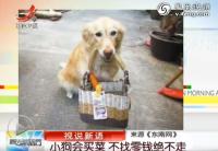小狗会买菜 不找零钱绝不走