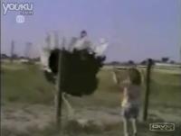 点击率1000万以上的爆笑集锦