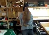 超级粘人的懒猫，趴在主人背上不愿意下来